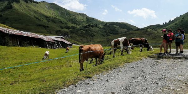 E2EB222B-0B89-4E04-9A72-5541EF787D2B