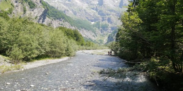 E34479EE-2662-4ECB-A734-F4AD812D9640