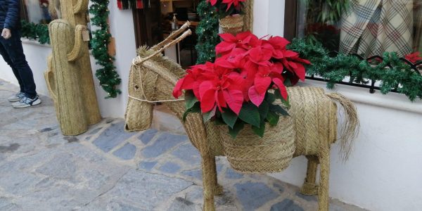 F114B0DE-232B-402D-9DFE-273F51005145