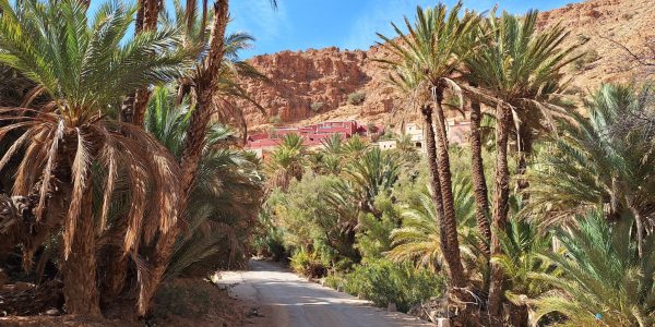 F4867EAE-D5EF-4242-BAE0-D35103361D0E