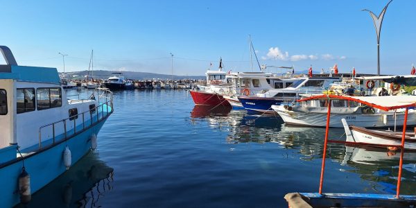 F8AED883-4F0C-4BCB-880C-8C08AA081761