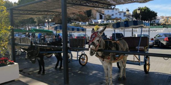 FBDED6ED-6F86-44BF-A0C0-96A5916F8BB3