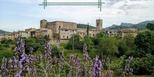 IMG_20210527_181730 (1)